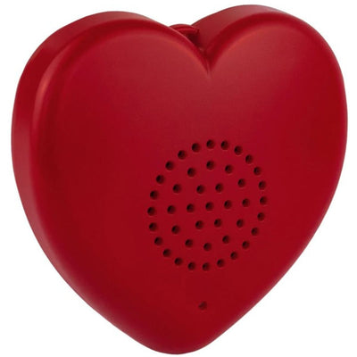 Talking Heart Voice Recorder