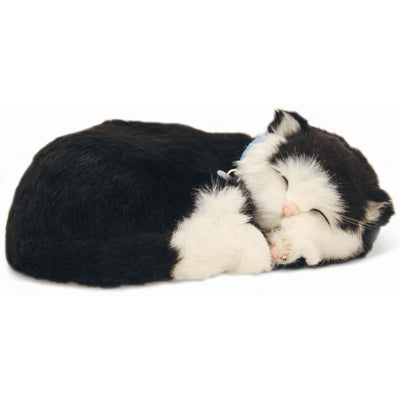 Precious Petzzz, Black & White Short Haired Cat